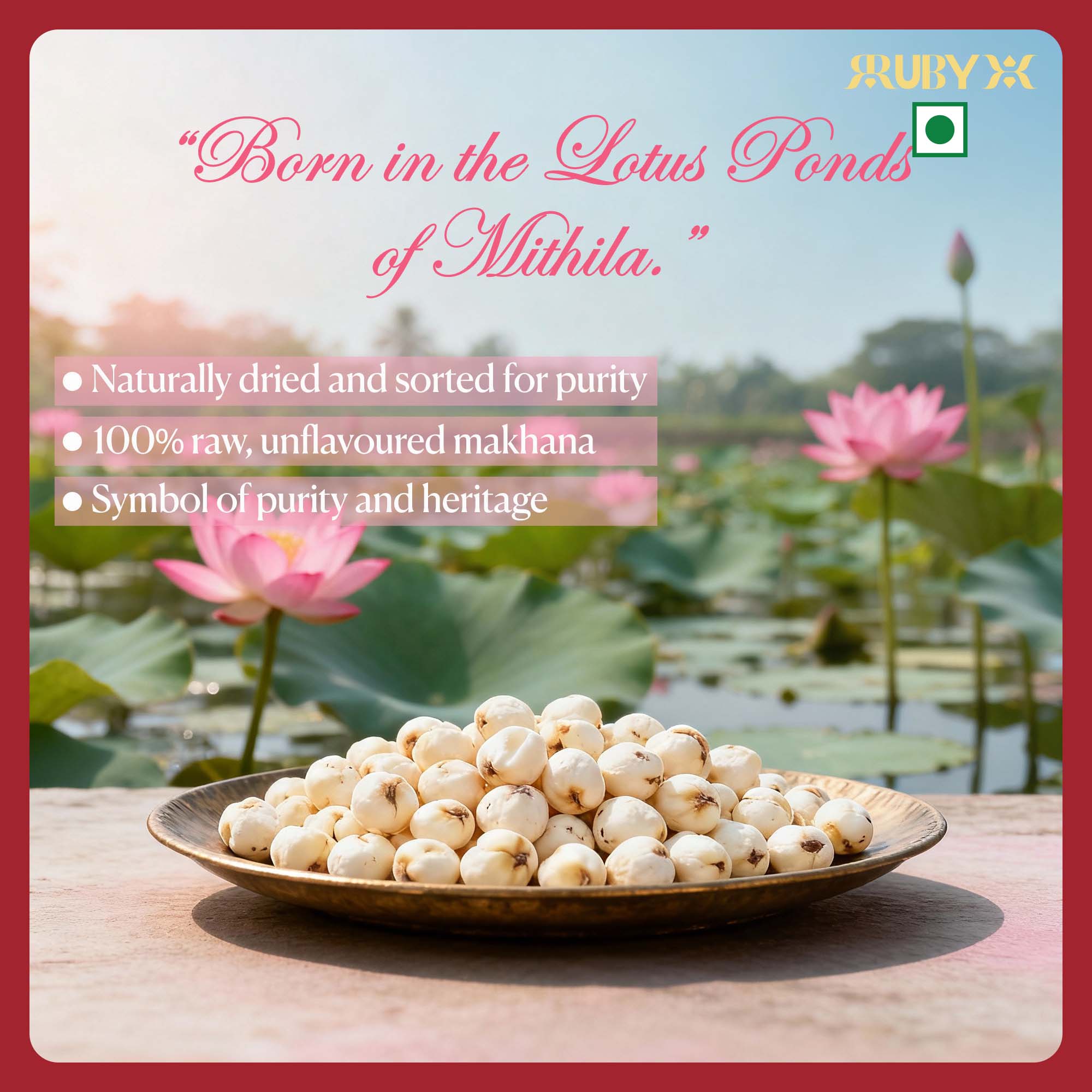 RUBYX Raw Makhana 250g (Alt view 1)